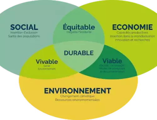Le développement durable en entreprise : qu’est-ce que c’est ?